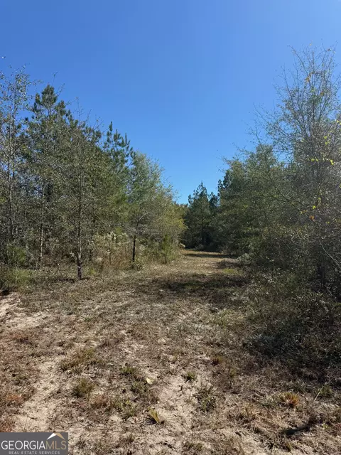 0 Carroll Rd, Roberta, GA 31078 photo 13