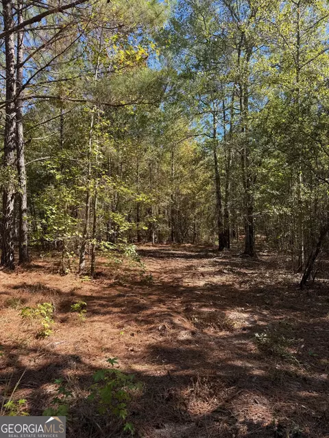 0 Carroll Rd, Roberta, GA 31078 photo 6