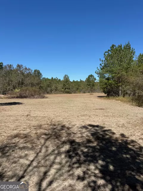 0 Carroll Rd, Roberta, GA 31078 photo 3