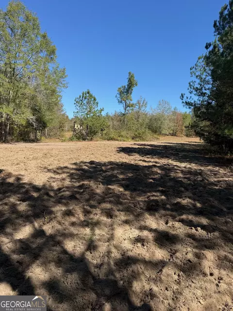 0 Carroll Rd, Roberta, GA 31078 photo 11