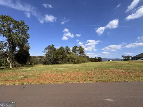 0 Vaughn Dairy Rd Hwy 411, Rydal, GA 30171 photo 6