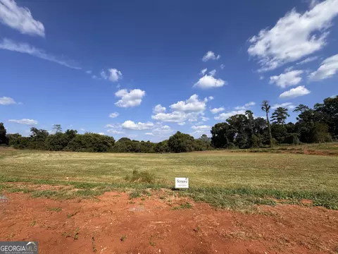 0 Vaughn Dairy Rd Hwy 411, Rydal, GA 30171 photo 4