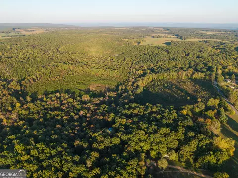 0 Gilreath Mill Rd, Menlo, GA 30731 photo 5