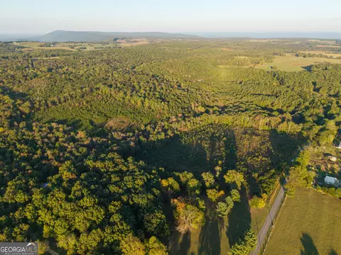 0 Gilreath Mill Rd, Menlo, GA 30731 photo 3
