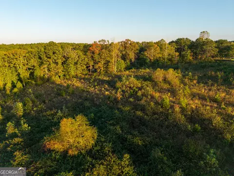 0 Gilreath Mill Rd, Menlo, GA 30731 photo 18