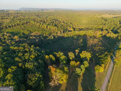 0 Gilreath Mill Rd, Menlo, GA 30731 photo 17