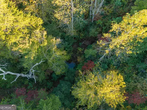 0 Gilreath Mill Rd, Menlo, GA 30731 photo 31