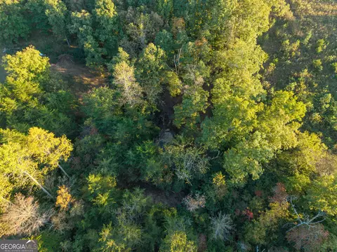 0 Gilreath Mill Rd, Menlo, GA 30731 photo 29