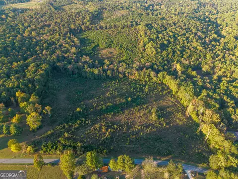 0 Gilreath Mill Rd, Menlo, GA 30731 photo 38