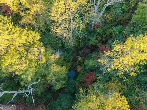 0 Gilreath Mill Rd, Menlo, GA 30731 photo 30