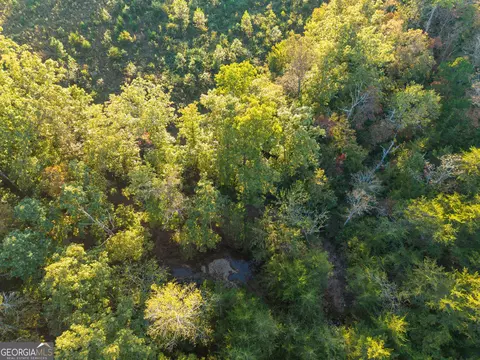 0 Gilreath Mill Rd, Menlo, GA 30731 photo 28