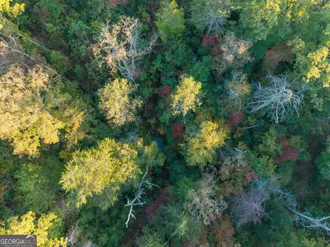 0 Gilreath Mill Rd, Menlo, GA 30731 photo 32