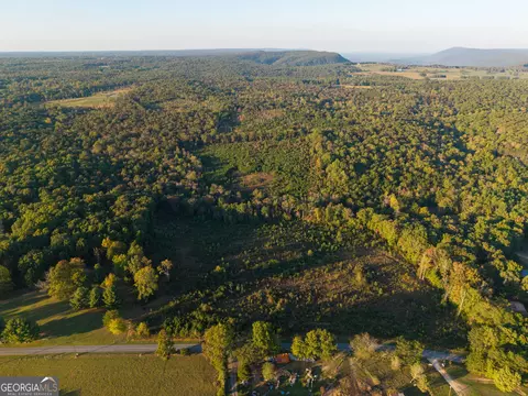 0 Gilreath Mill Rd, Menlo, GA 30731 photo 39