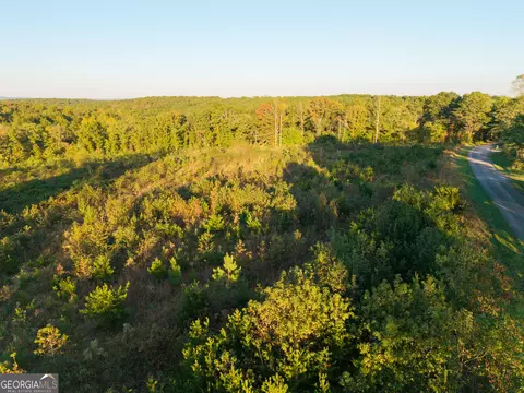 0 Gilreath Mill Rd, Menlo, GA 30731 photo 36