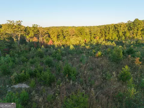 0 Gilreath Mill Rd, Menlo, GA 30731 photo 19