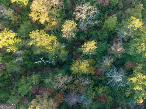 0 Gilreath Mill Rd, Menlo, GA 30731 photo 26