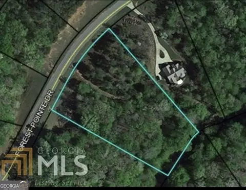 505 Forest Pointe Dr, Forsyth, GA 31029 photo 2
