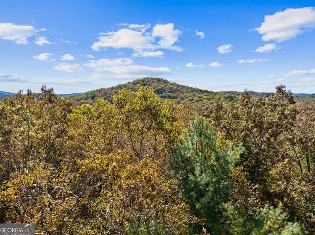 Clator Blue Ridge Lt 12 Hillbilly Holler, Blue Ridge, GA 30513 | MLS# 10879101 | 12 ...