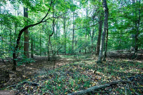 827 Moon Bridge Rd, Winder, GA 30680 photo 72