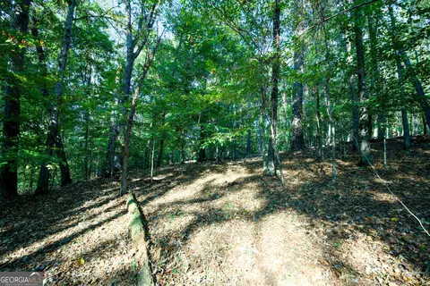 827 Moon Bridge Rd, Winder, GA 30680 photo 81