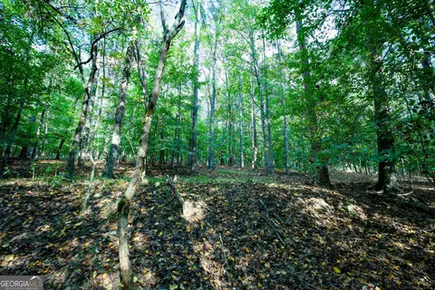 827 Moon Bridge Rd, Winder, GA 30680 photo 71