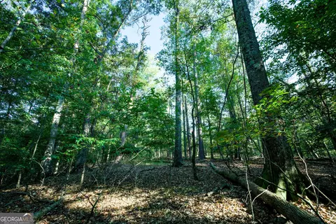 827 Moon Bridge Rd, Winder, GA 30680 photo 83