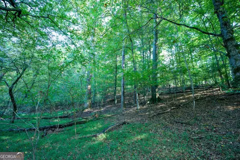 827 Moon Bridge Rd, Winder, GA 30680 photo 92
