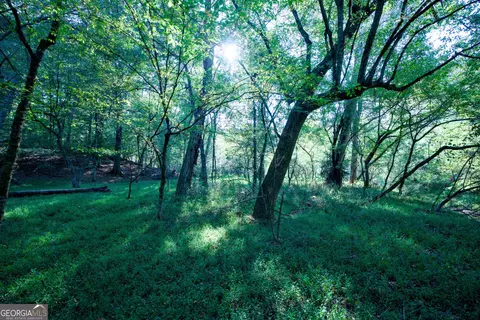 827 Moon Bridge Rd, Winder, GA 30680 photo 95