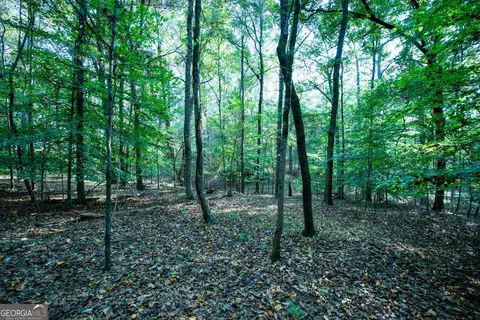 827 Moon Bridge Rd, Winder, GA 30680 photo 73