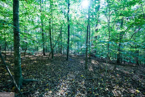 827 Moon Bridge Rd, Winder, GA 30680 photo 80