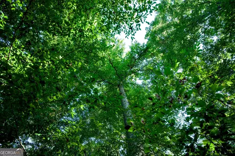 827 Moon Bridge Rd, Winder, GA 30680 photo 86