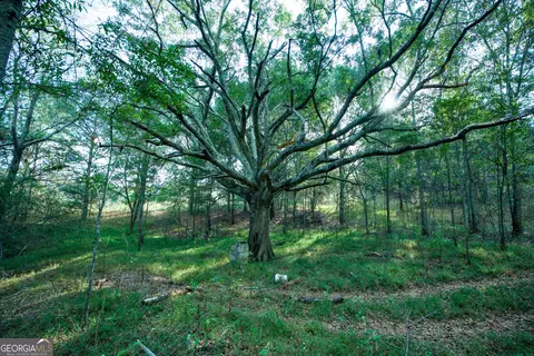 827 Moon Bridge Rd, Winder, GA 30680 photo 11