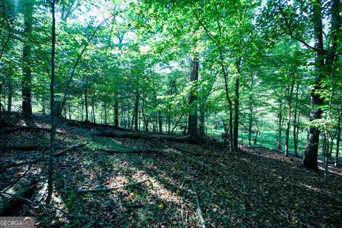 827 Moon Bridge Rd, Winder, GA 30680 photo 87
