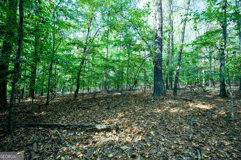 827 Moon Bridge Rd, Winder, GA 30680 photo 74
