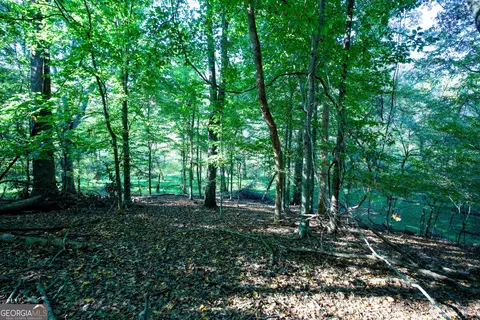 827 Moon Bridge Rd, Winder, GA 30680 photo 88