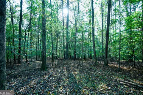 827 Moon Bridge Rd, Winder, GA 30680 photo 77