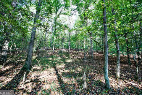 827 Moon Bridge Rd, Winder, GA 30680 photo 68