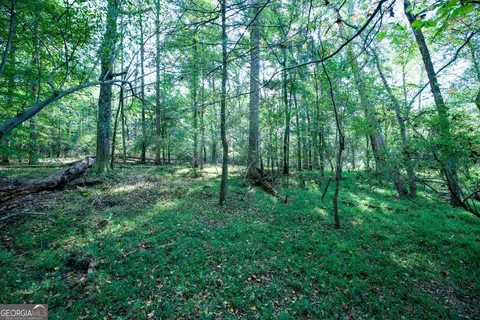 827 Moon Bridge Rd, Winder, GA 30680 photo 66