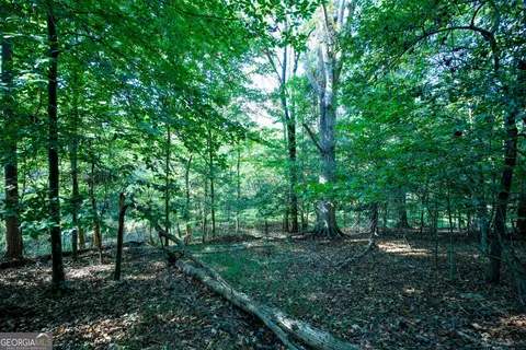 827 Moon Bridge Rd, Winder, GA 30680 photo 84