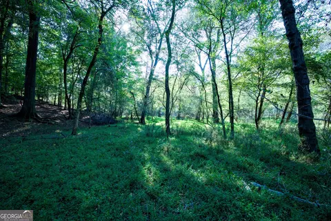 827 Moon Bridge Rd, Winder, GA 30680 photo 93