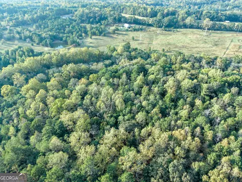 827 Moon Bridge Rd, Winder, GA 30680 photo 10