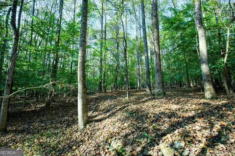 827 Moon Bridge Rd, Winder, GA 30680 photo 75