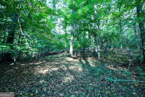 827 Moon Bridge Rd, Winder, GA 30680 photo 67