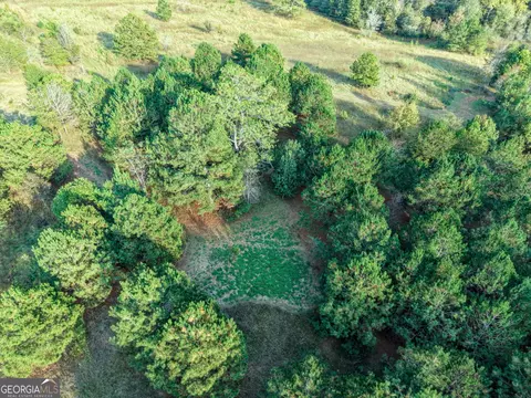 837 Moon Bridge Rd, Winder, GA 30680 photo 10