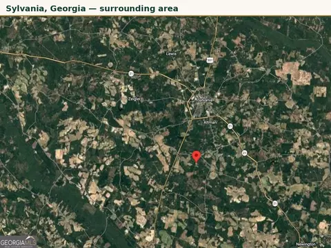 0 Cameron Rd, Sylvania, GA 30467 photo 5