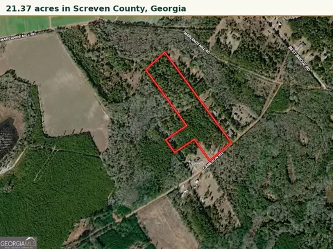 0 Cameron Rd, Sylvania, GA 30467 photo 1