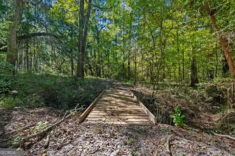 Other - 4688 Mt Olive Rd, Pelham, GA 31779 photo 3 of 14