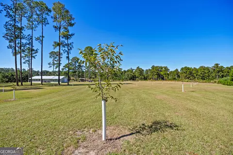 Exterior - 4688 Mt Olive Rd, Pelham, GA 31779 photo 3 of 4