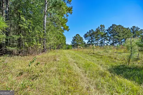 Other - 4688 Mt Olive Rd, Pelham, GA 31779 photo 6 of 14