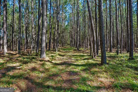 Other - 4688 Mt Olive Rd, Pelham, GA 31779 photo 2 of 14